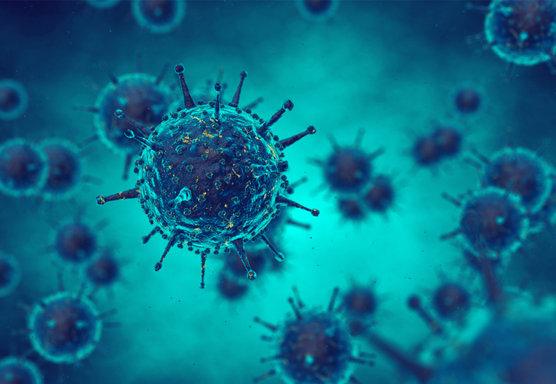 What equestrians need to know about Equine Flu