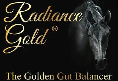 Radiance Gold; Natural Horse Supplements with a Purpose