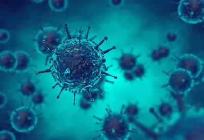 What equestrians need to know about Equine Flu