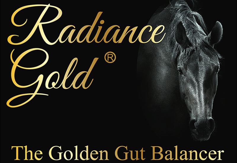 Radiance Gold; Natural Horse Supplements with a Purpose