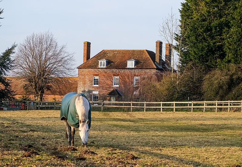 What to Look for in an Equestrian Property; Arenas, Grazing & Access