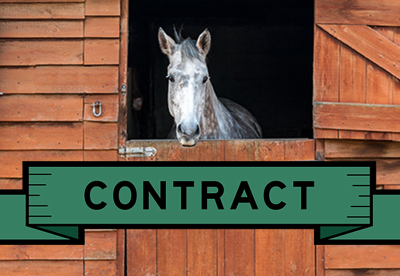 15 Questions from a horse dealer answered by an equine lawyer