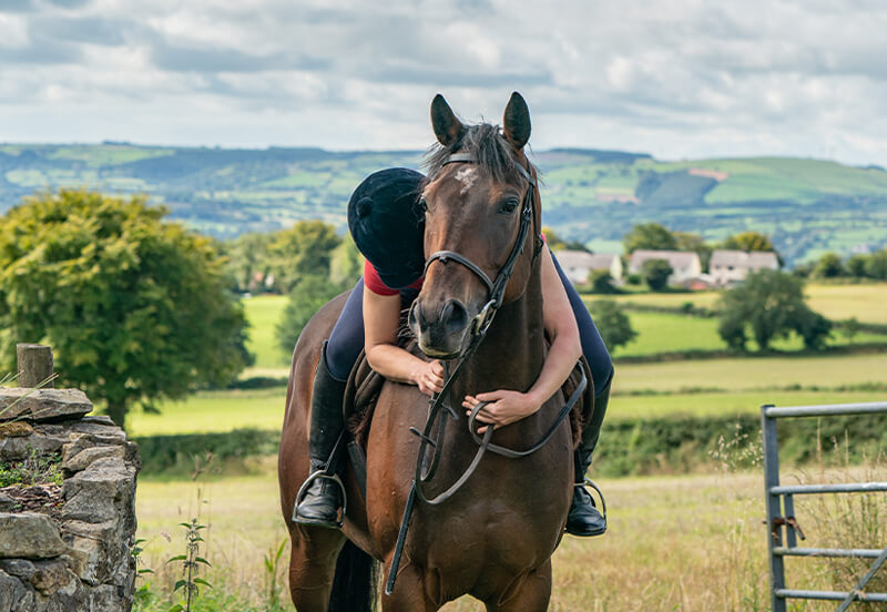 5 Common queries from new ex-racehorse owners