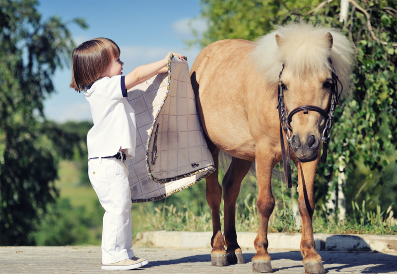How to make sure you’re buying the right pony for your child