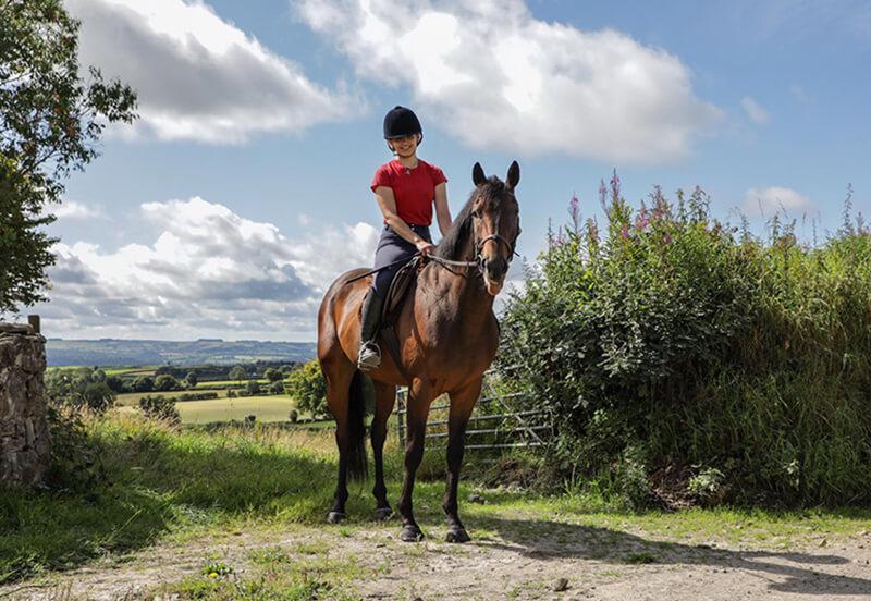 Is my ex-racehorse too thin?