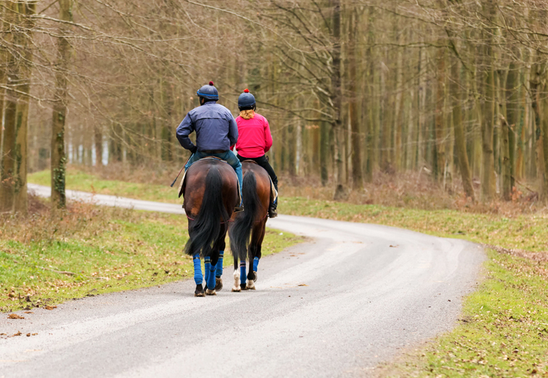 Retraining an ex-racehorse to enjoy a hack