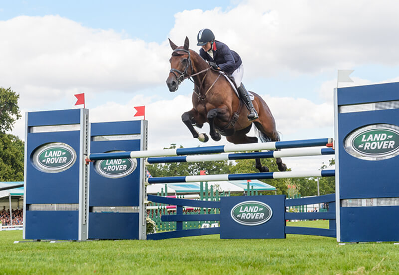 Why the next horse you buy should be an Irish Sport Horse