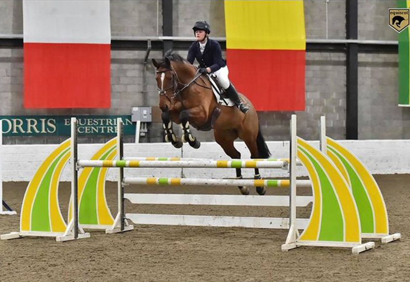 Interview with Eve Nicoll who found her dream horse on Whickr