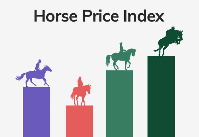 The price of horses for sale online